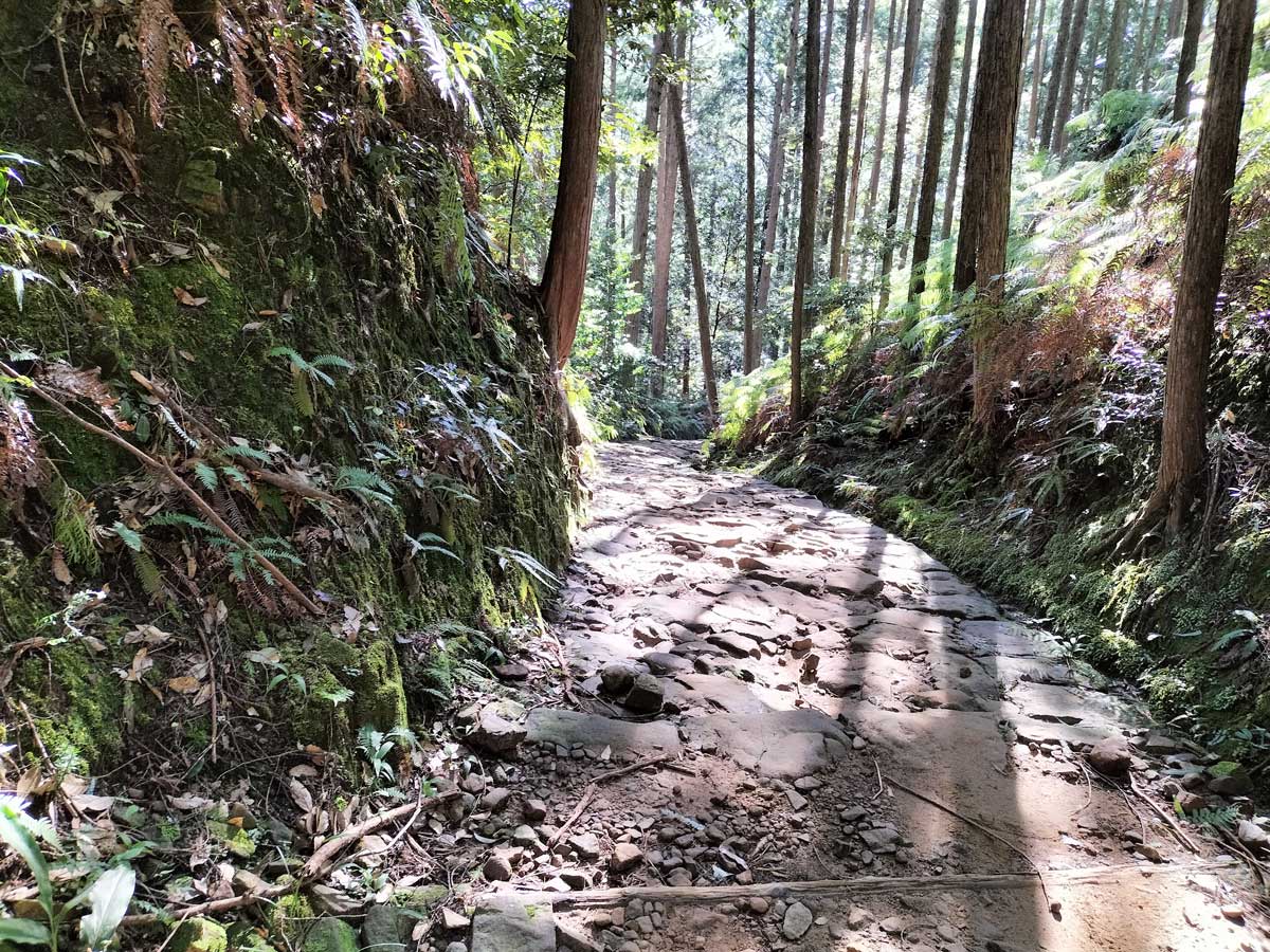 熊野古道の石畳道