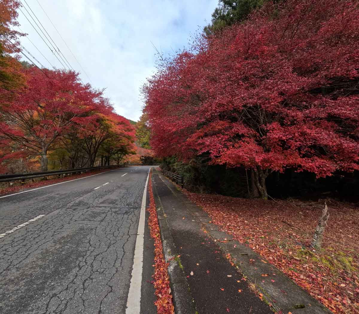 観音峰登山口のバス停