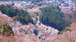 吉野山 駐車場