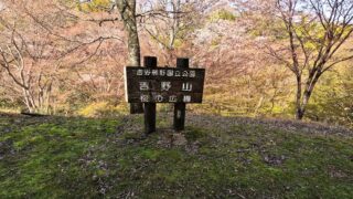 中千本さくらの広場