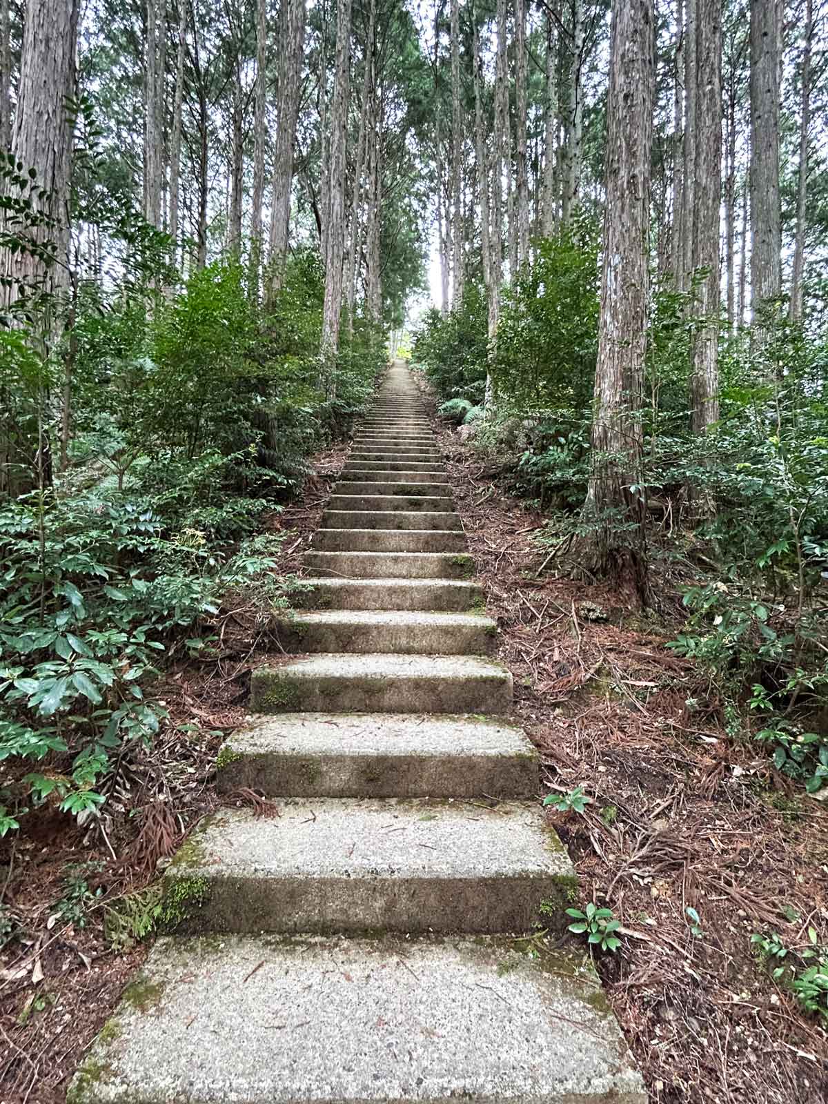 階段道