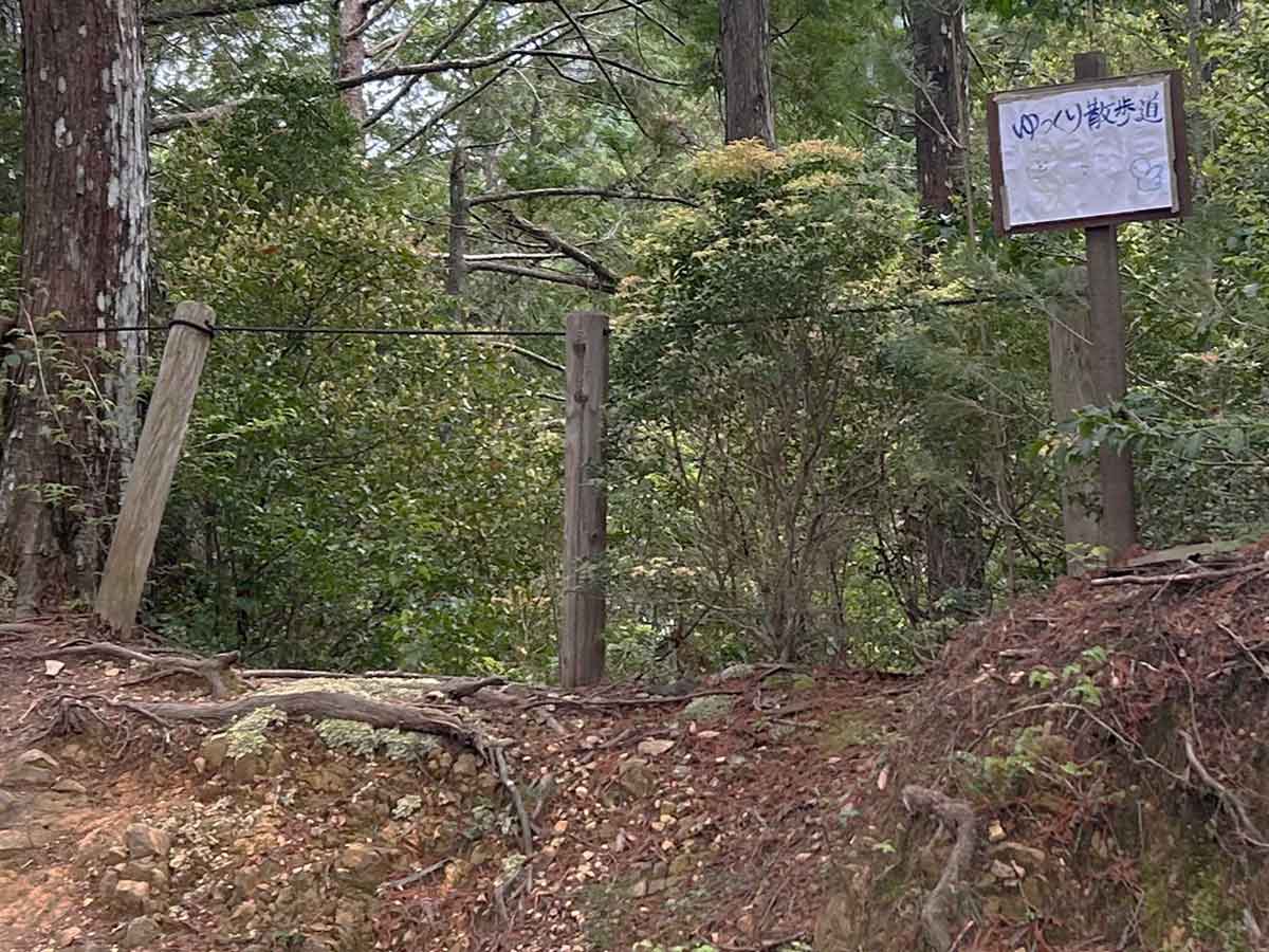 奥に展望台