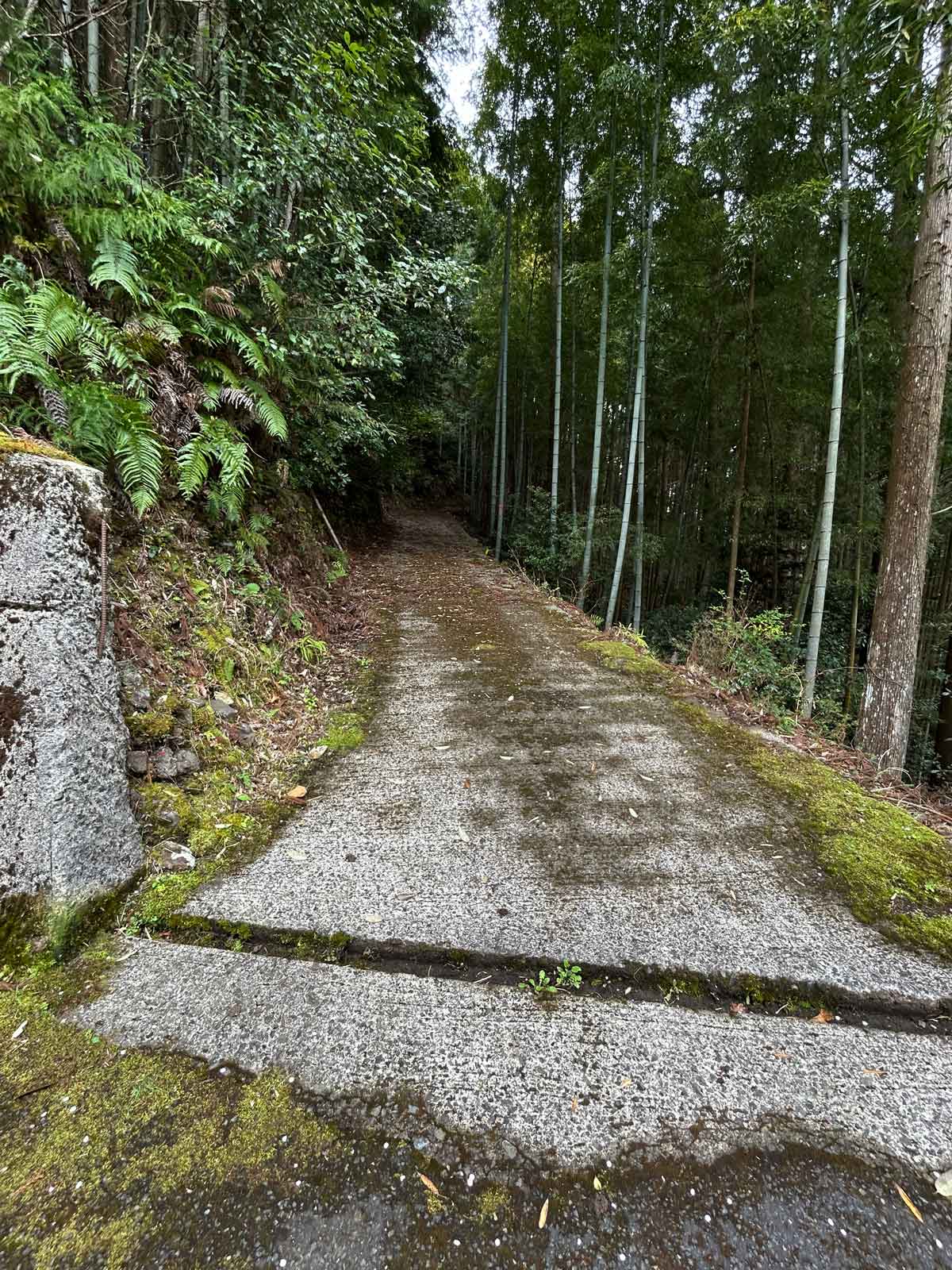 神社までの坂道