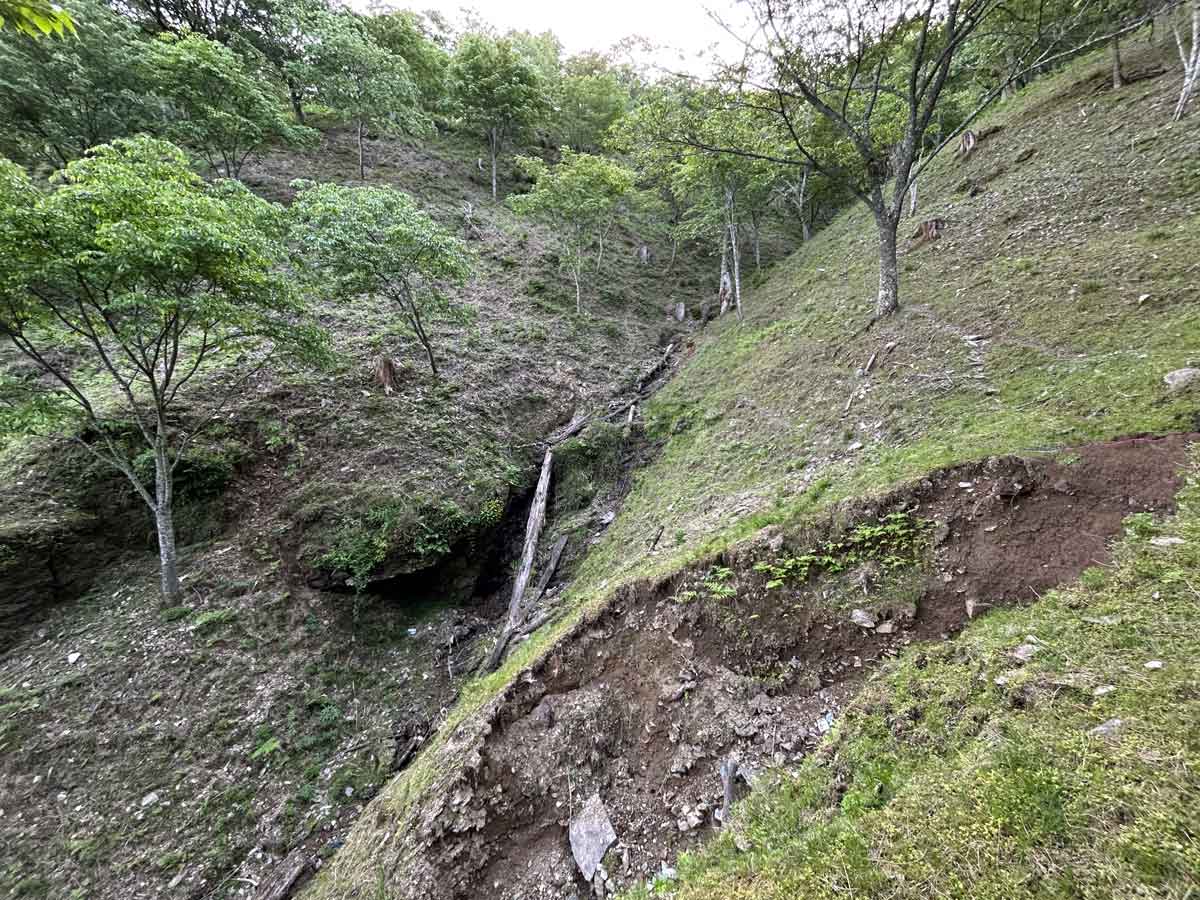 沢に小さな滝