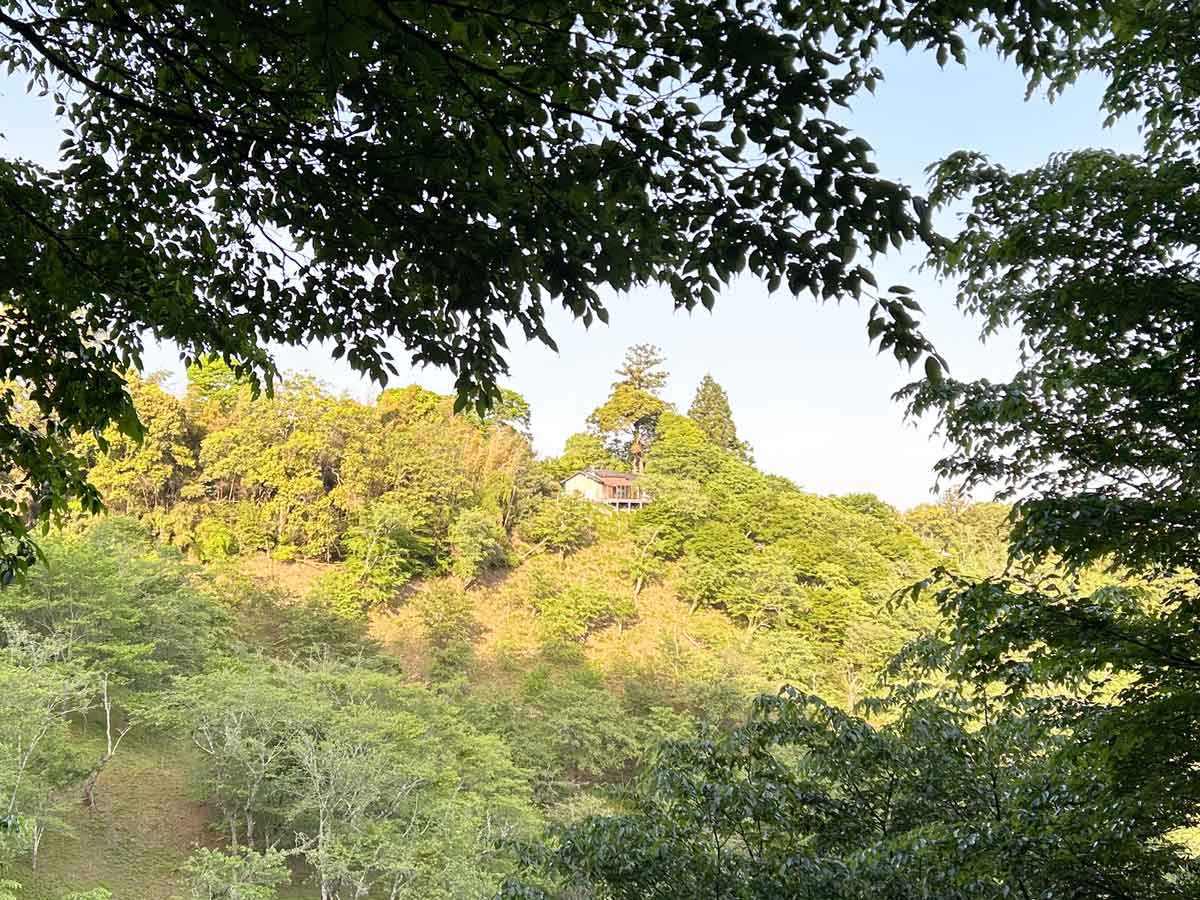 木々の隙間から見える別荘
