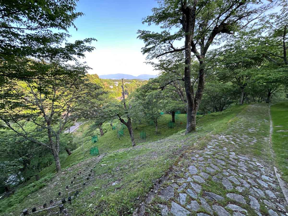 山道が続きます