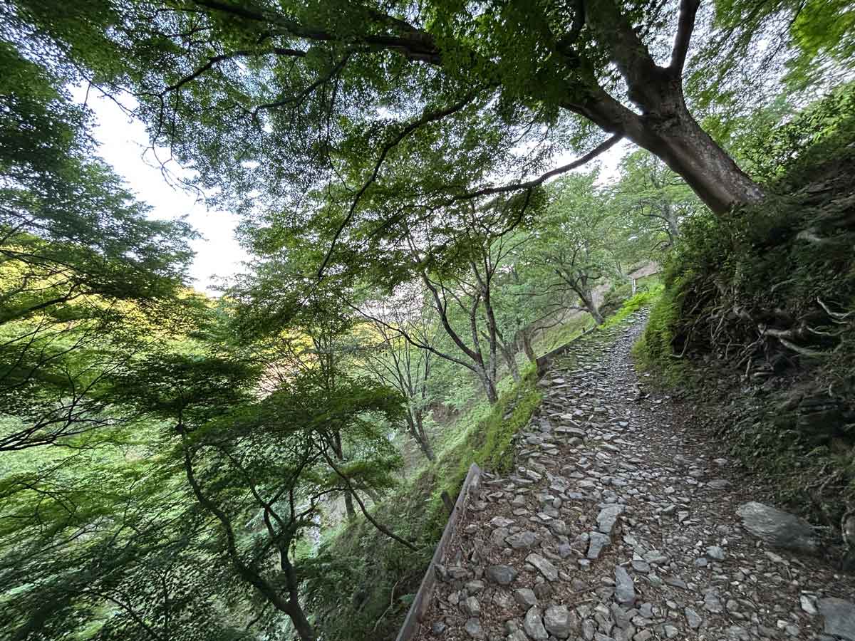 山道が続きます