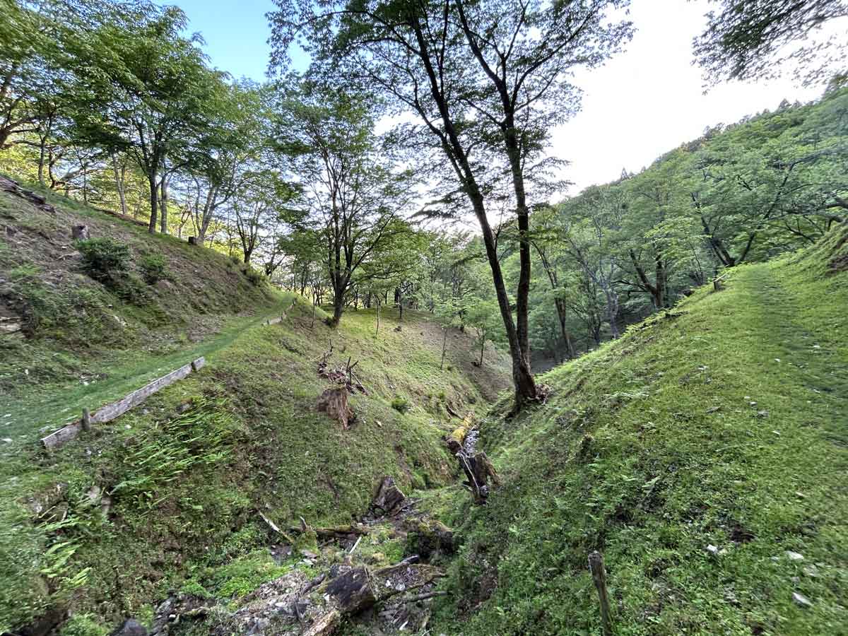 県道37号線の滝桜の入り口近辺