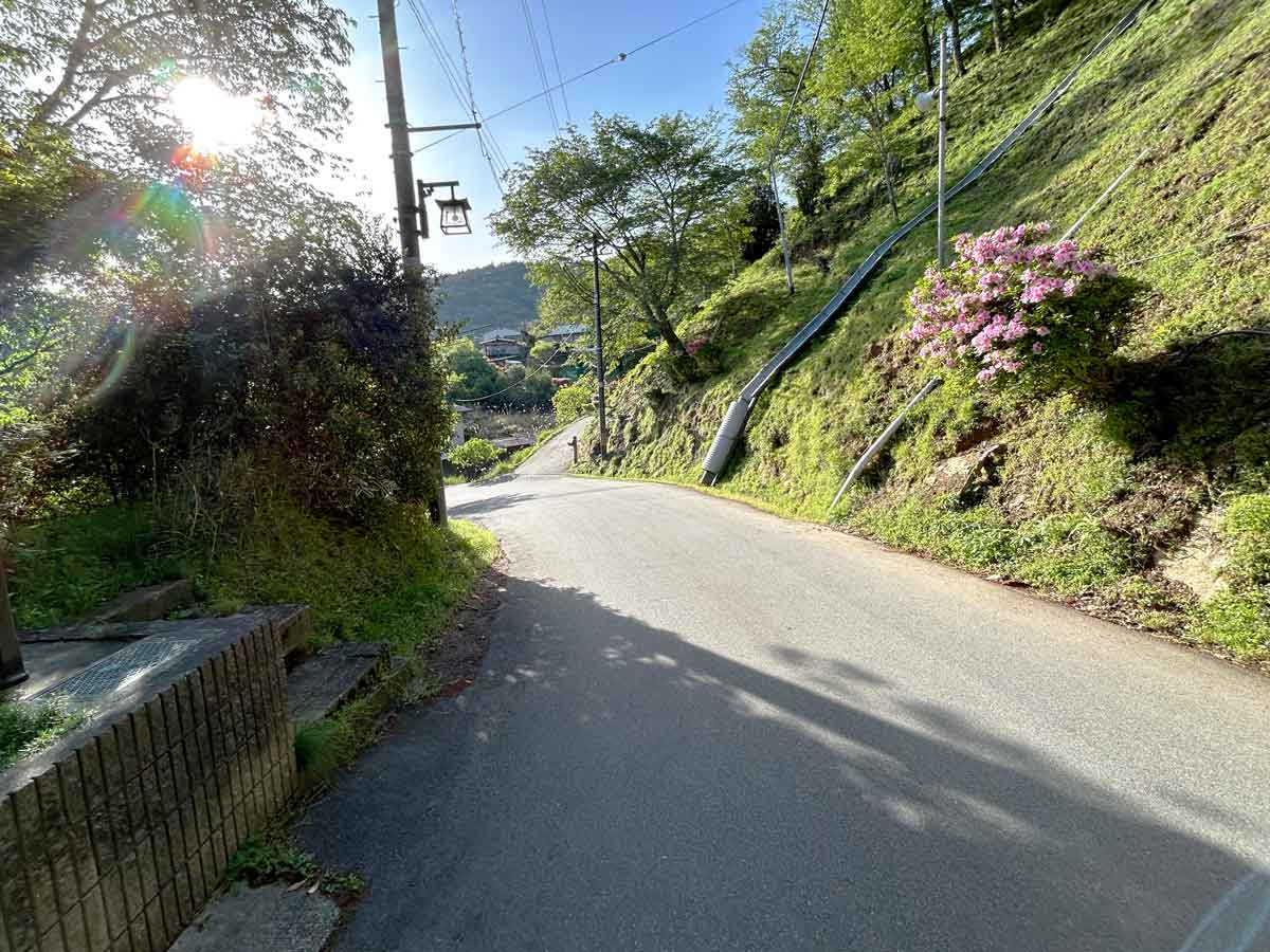 竹林院前のバス停