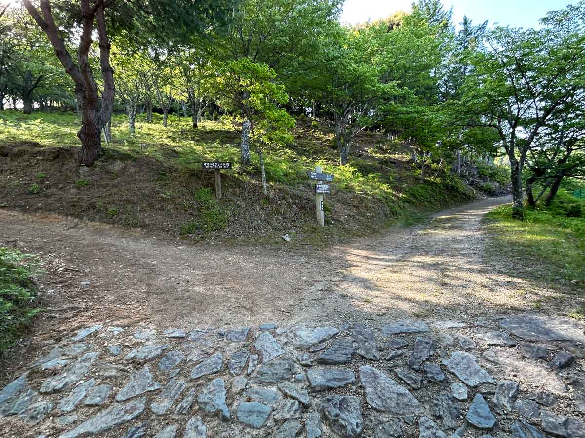 吉野山の裏桜道