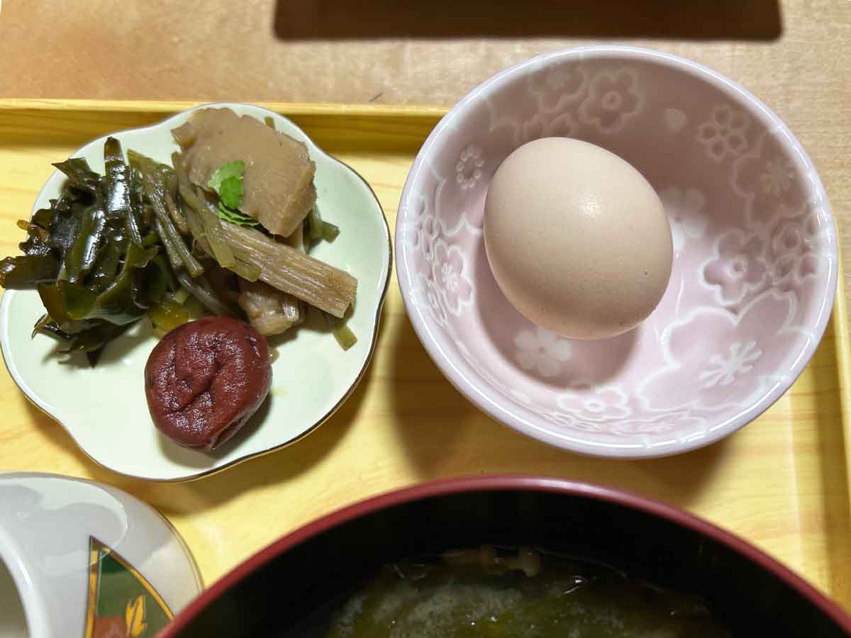 烏骨鶏の卵