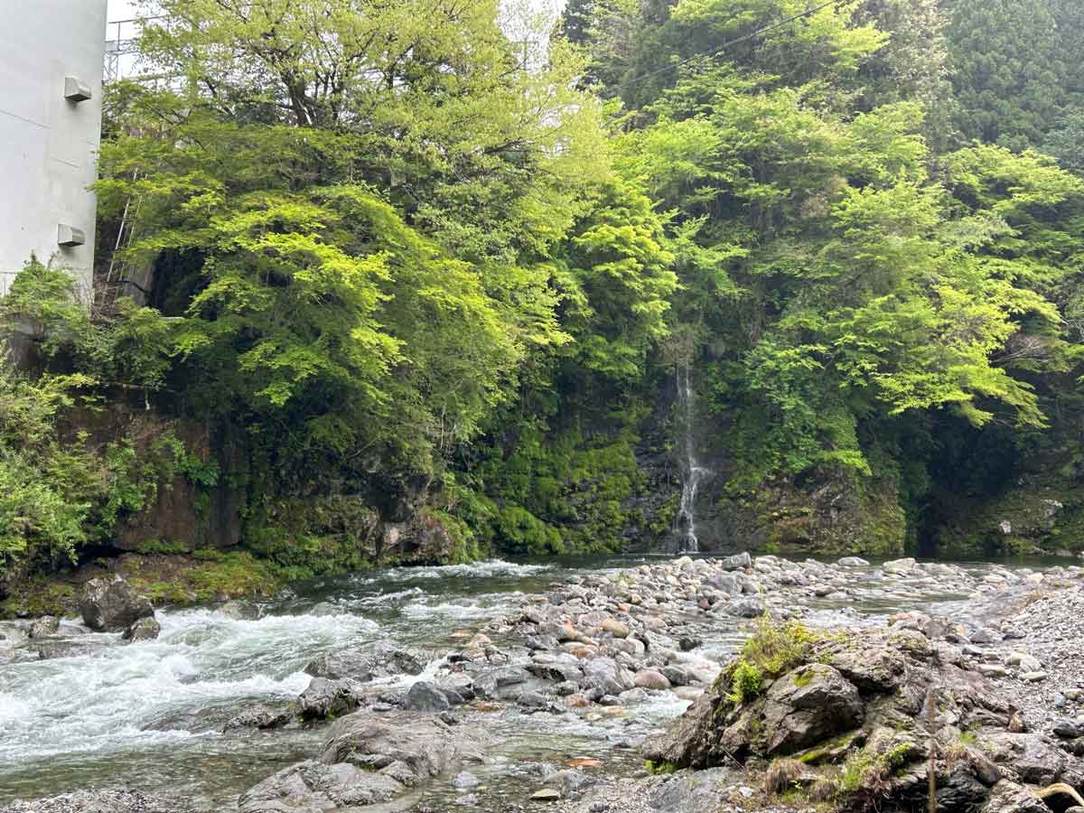 川幅が広く自然の中で自由に遊び