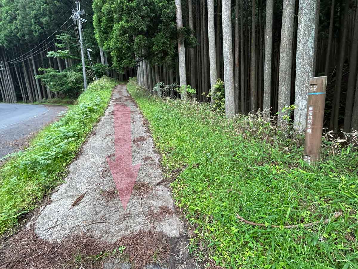 小径の坂道から道路