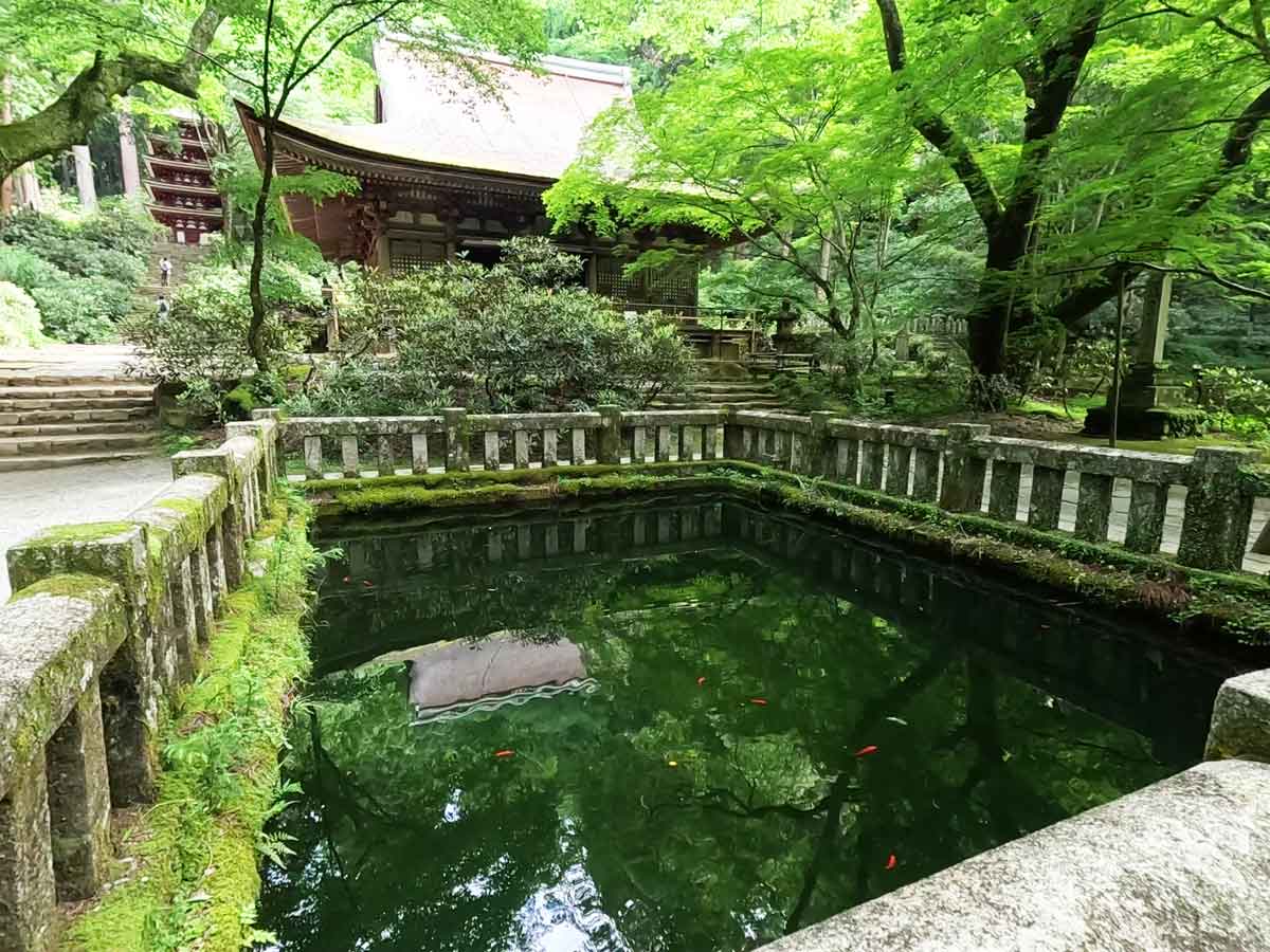 池