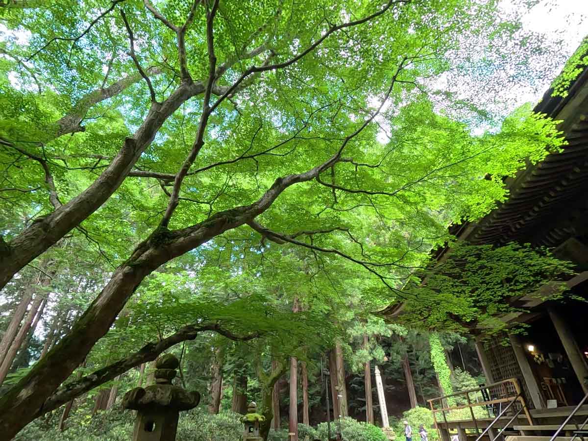 本堂（灌頂堂　かんじょうどう）