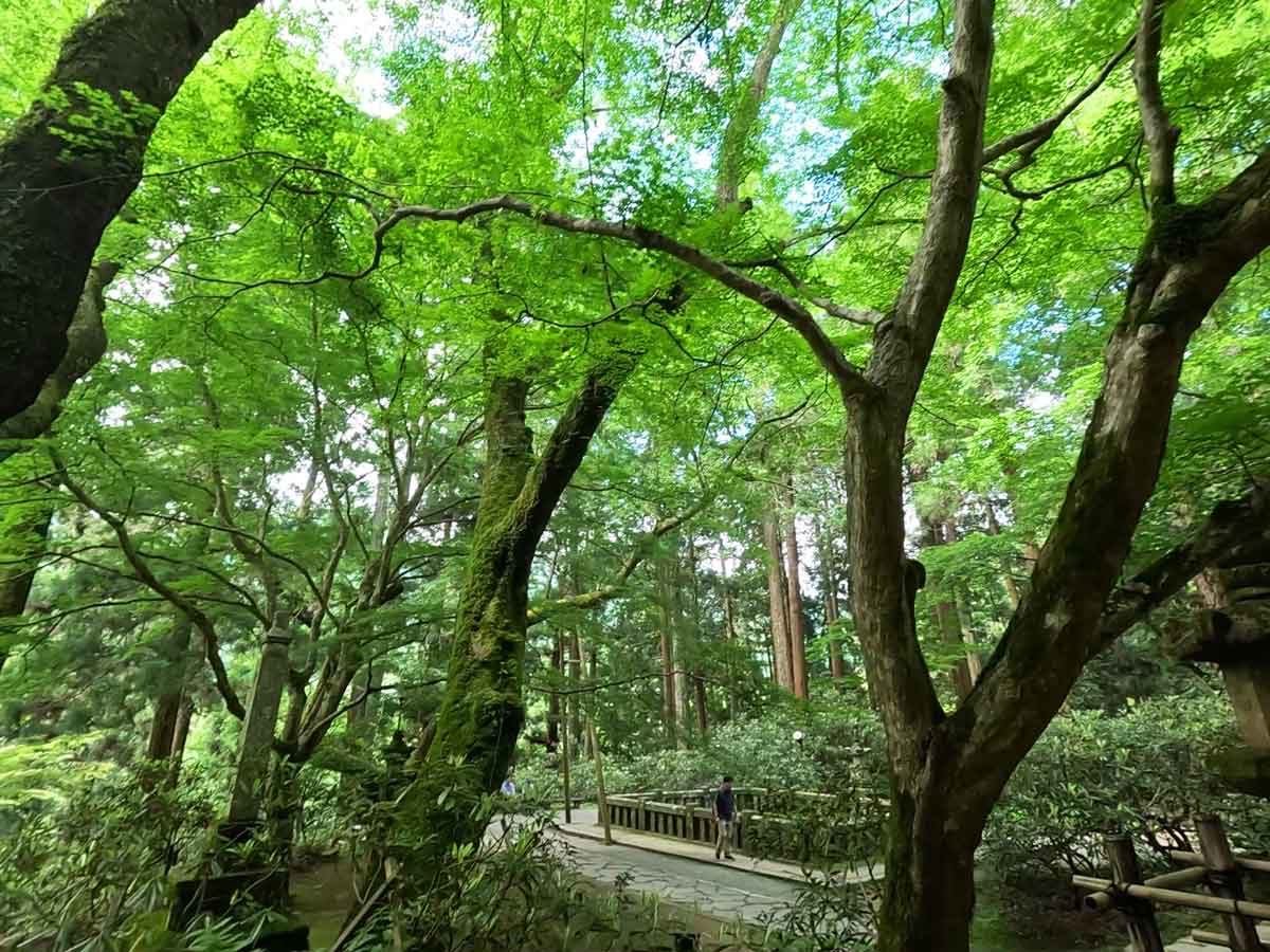 本堂（灌頂堂　かんじょうどう）