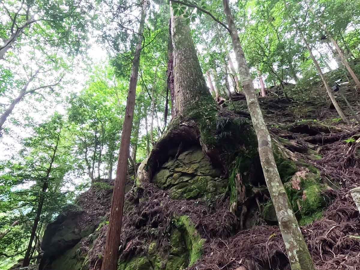 奥の院への石段