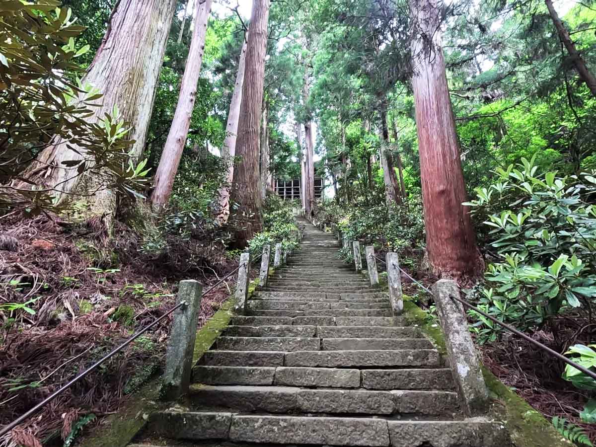 石段の先に、かすかに建物の影