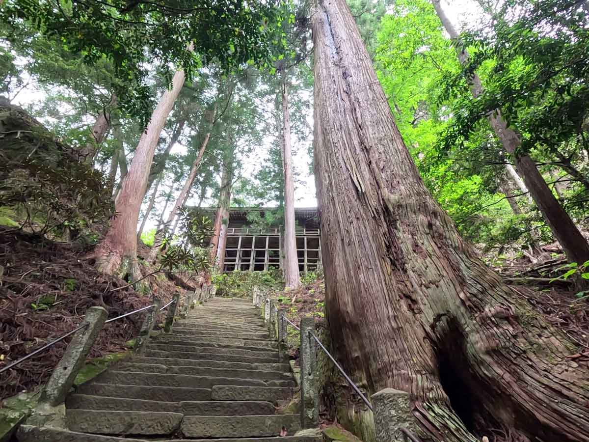 奥の院への石段