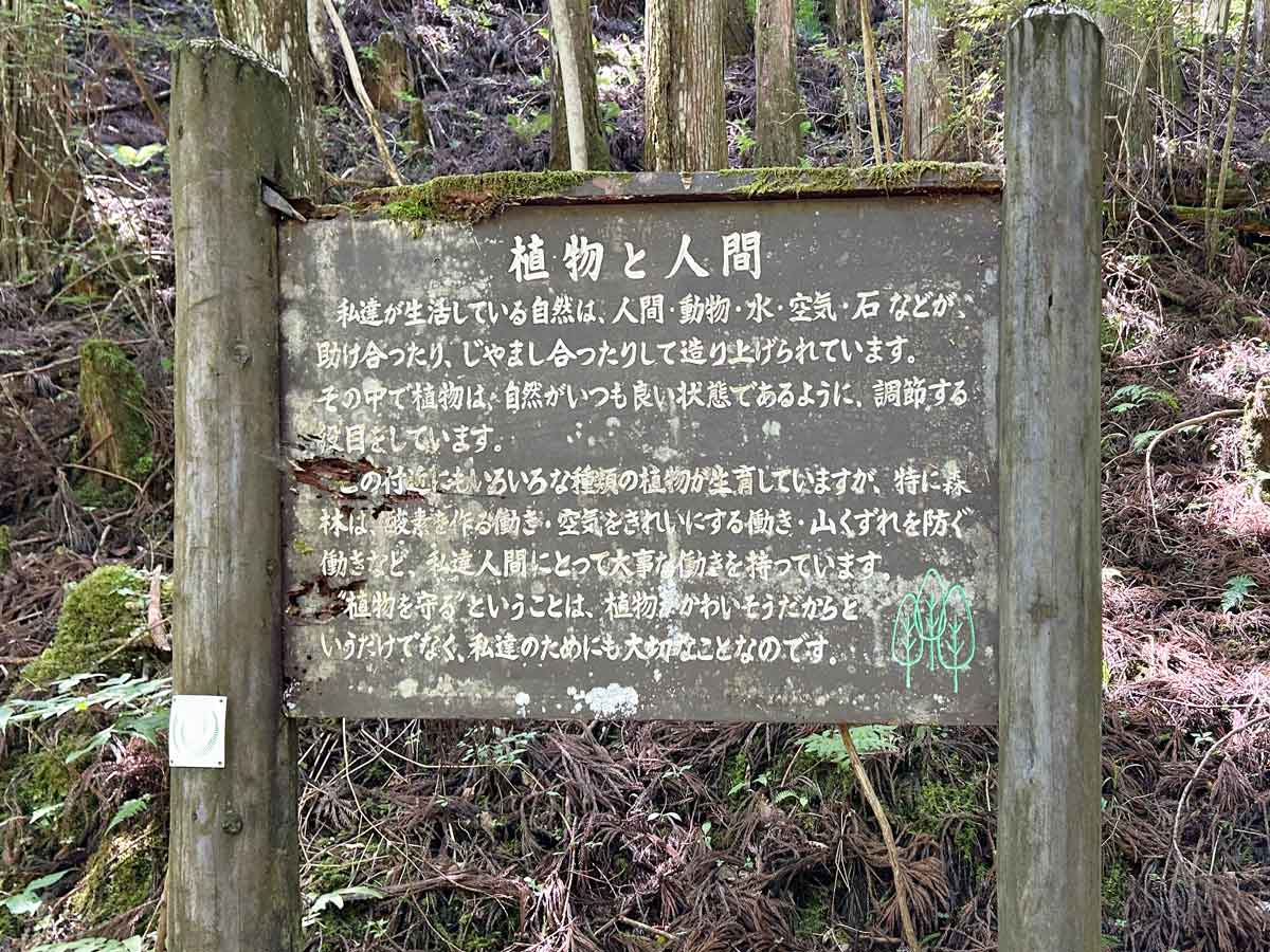 案内板