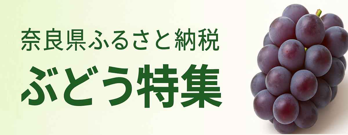 奈良県ふるさと納税 ぶどう特集