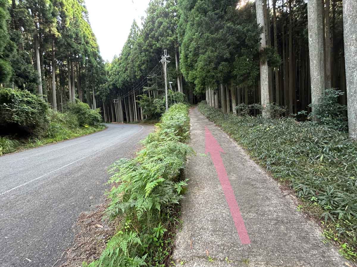 東海自然歩道
