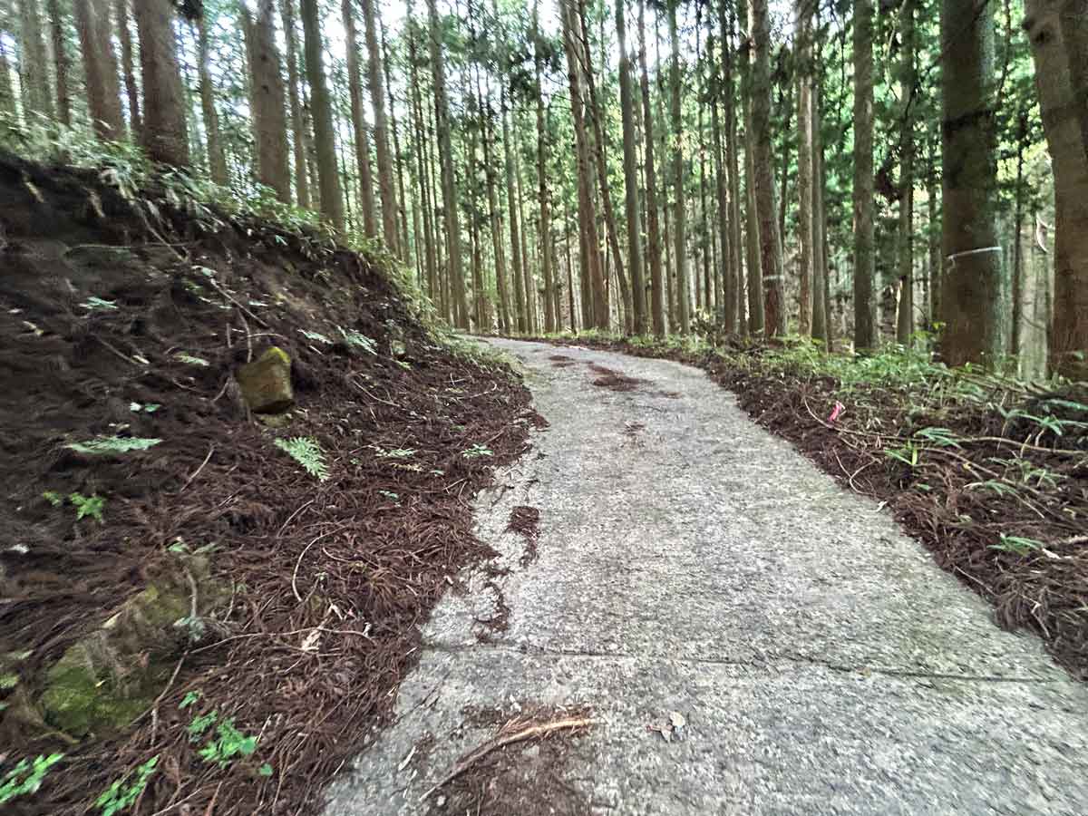 東海自然歩道