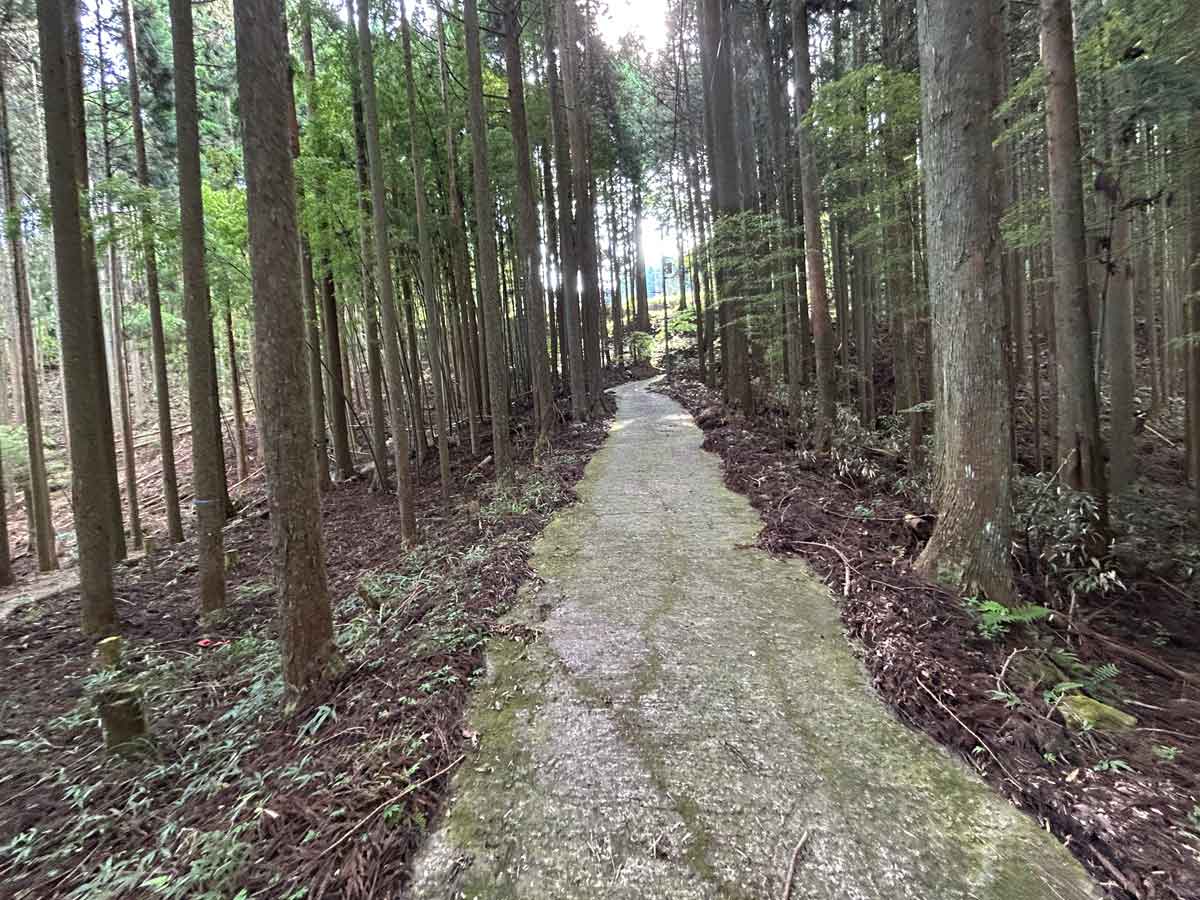 東海自然歩道