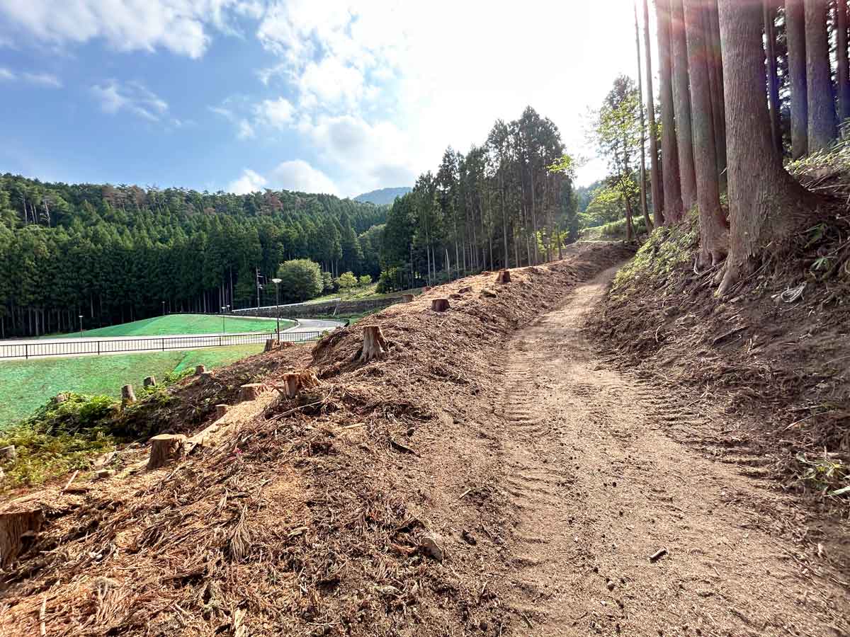 東海自然歩道のコンクリートの道の一面が泥と木屑
