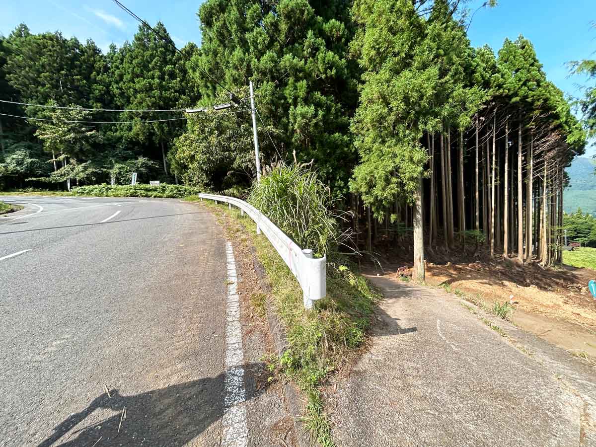 東海自然歩道の再度、車道へ