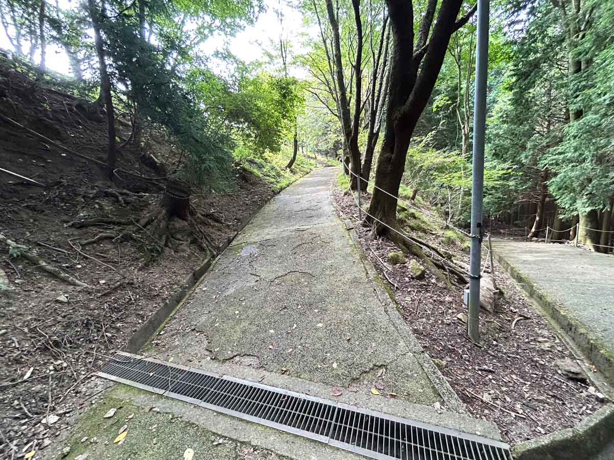 森林浴の通路