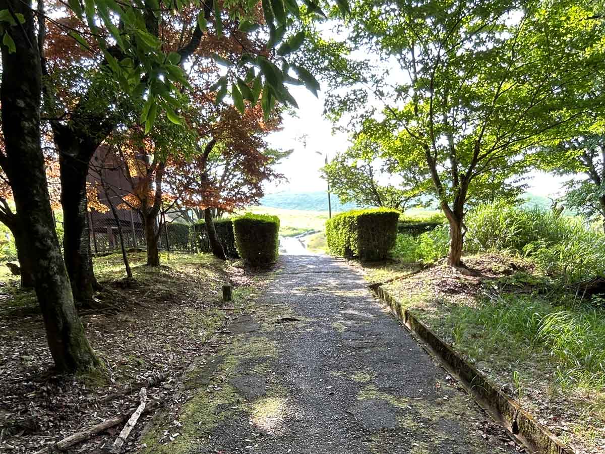 自然の家の生垣と高原