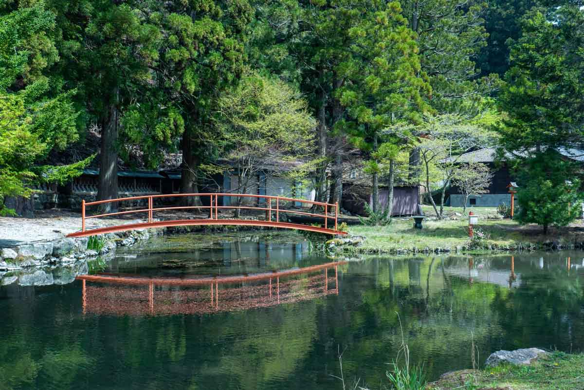 龍泉寺の庭園・龍王池