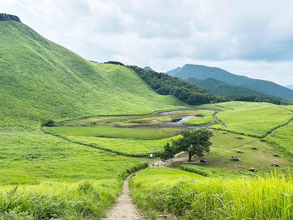 亀山峠に向けて散策路