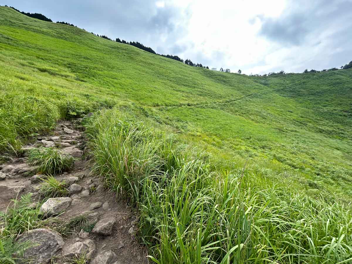 こう見えて、歩くにはけっこう険しい岩場の道