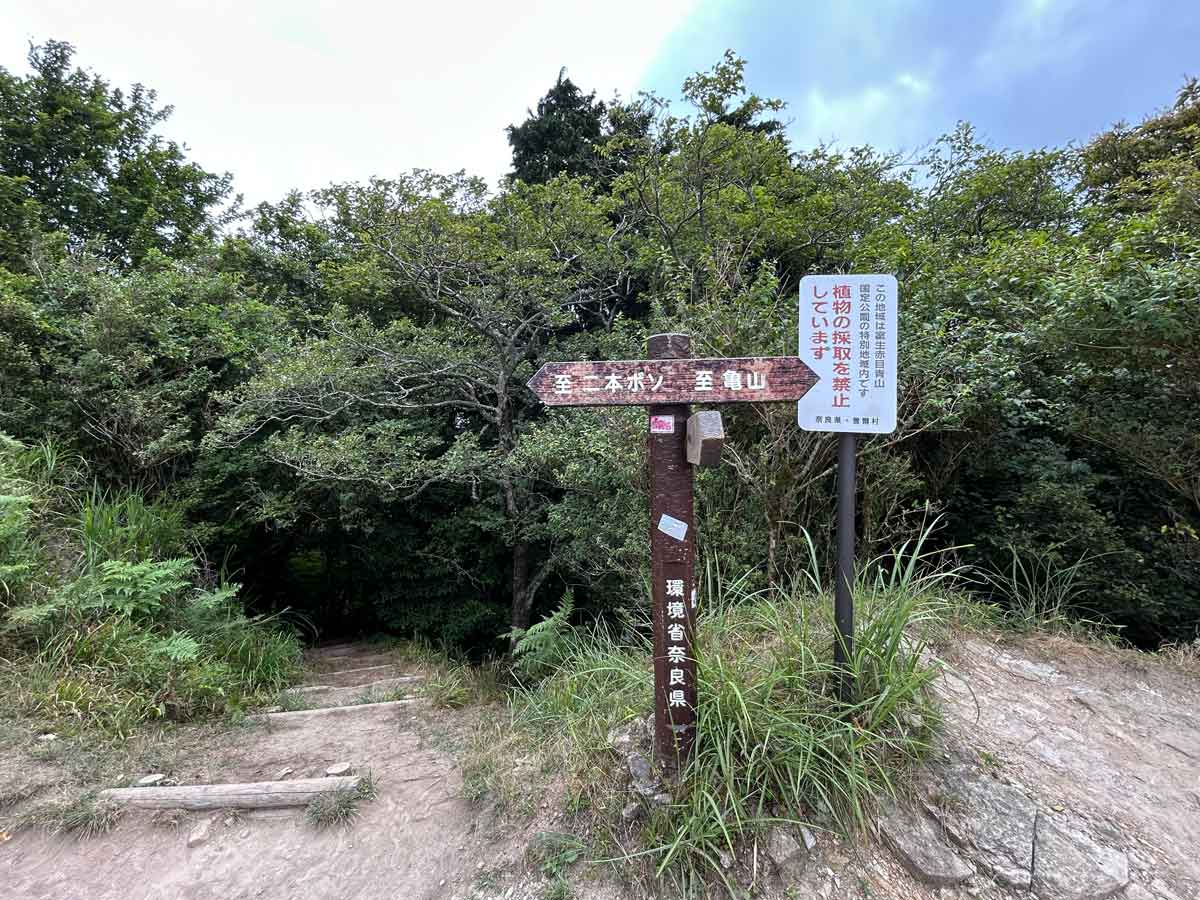 二本ボソと亀山の案内