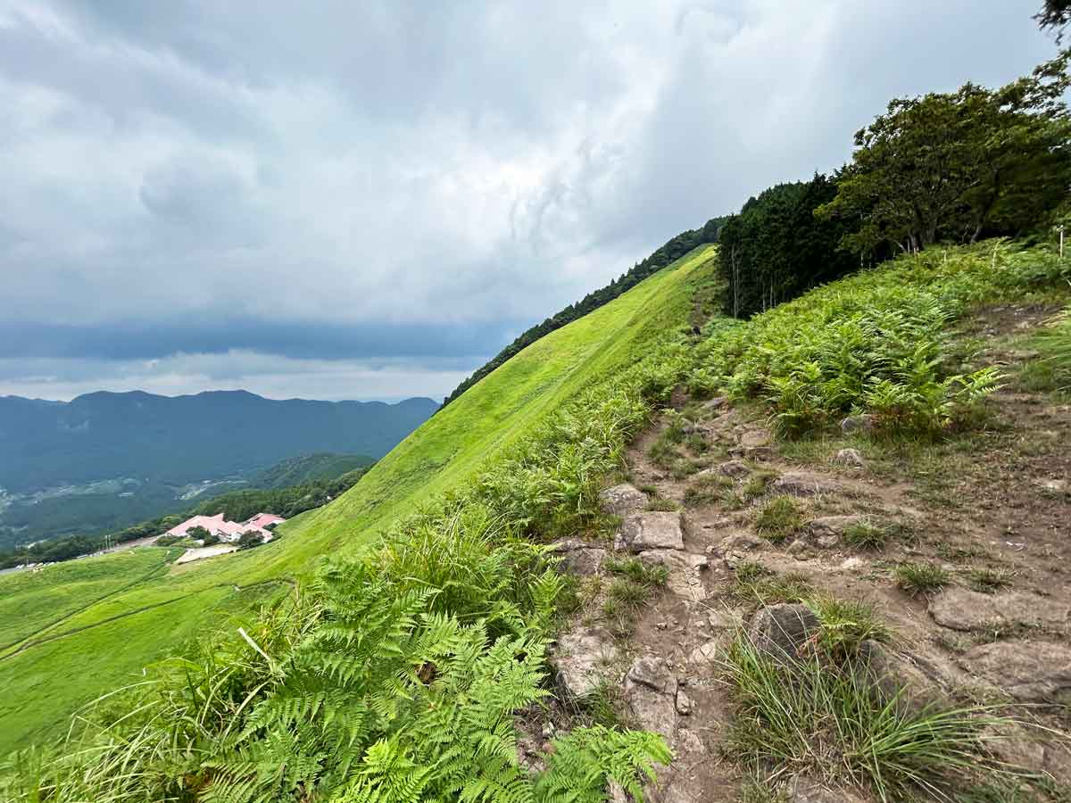 二本ボソへの散策路