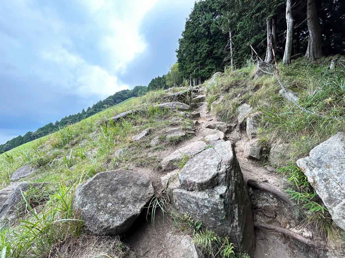 二本ボソへの散策路
