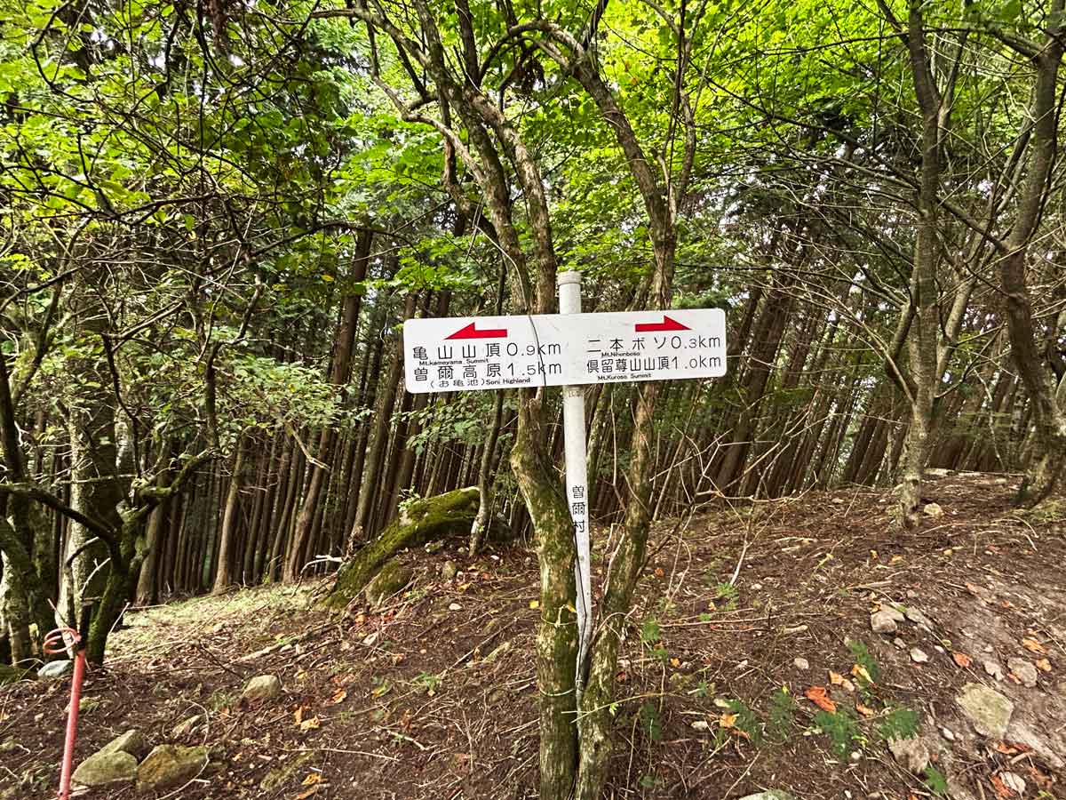 案内表示には「二本ボソ0.3km/倶留尊山1.0km」