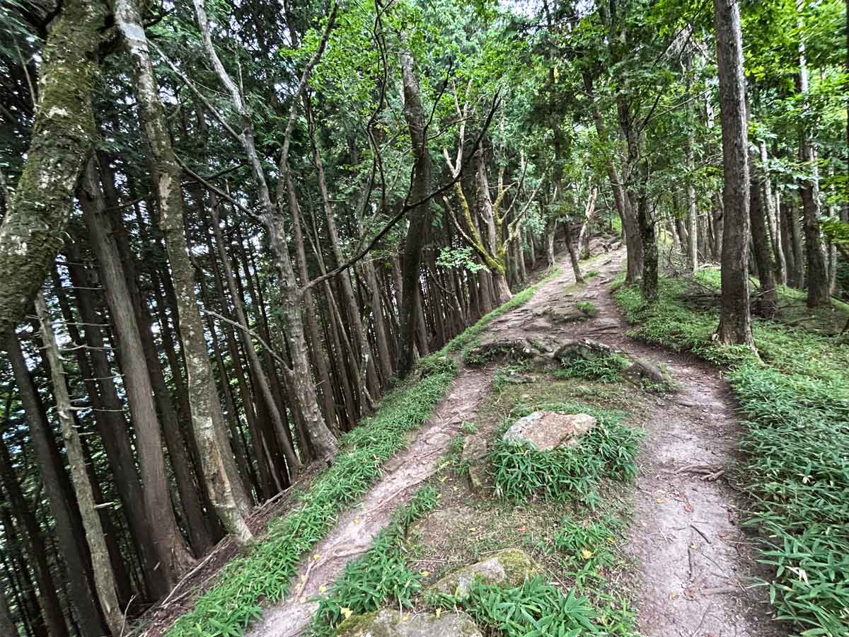 簡易な山小屋に到着