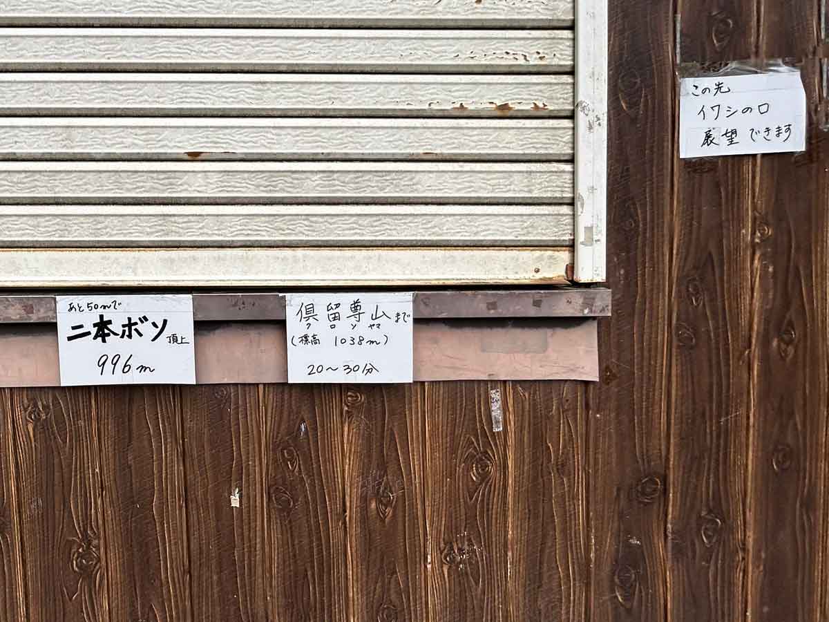 散策路沿いに尾根を見上げる