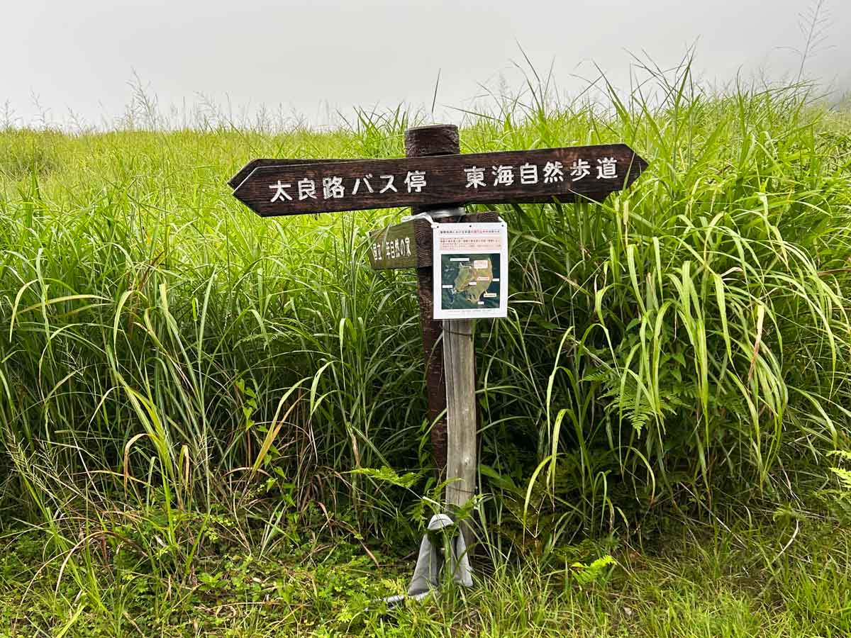 東海自然歩道の一部