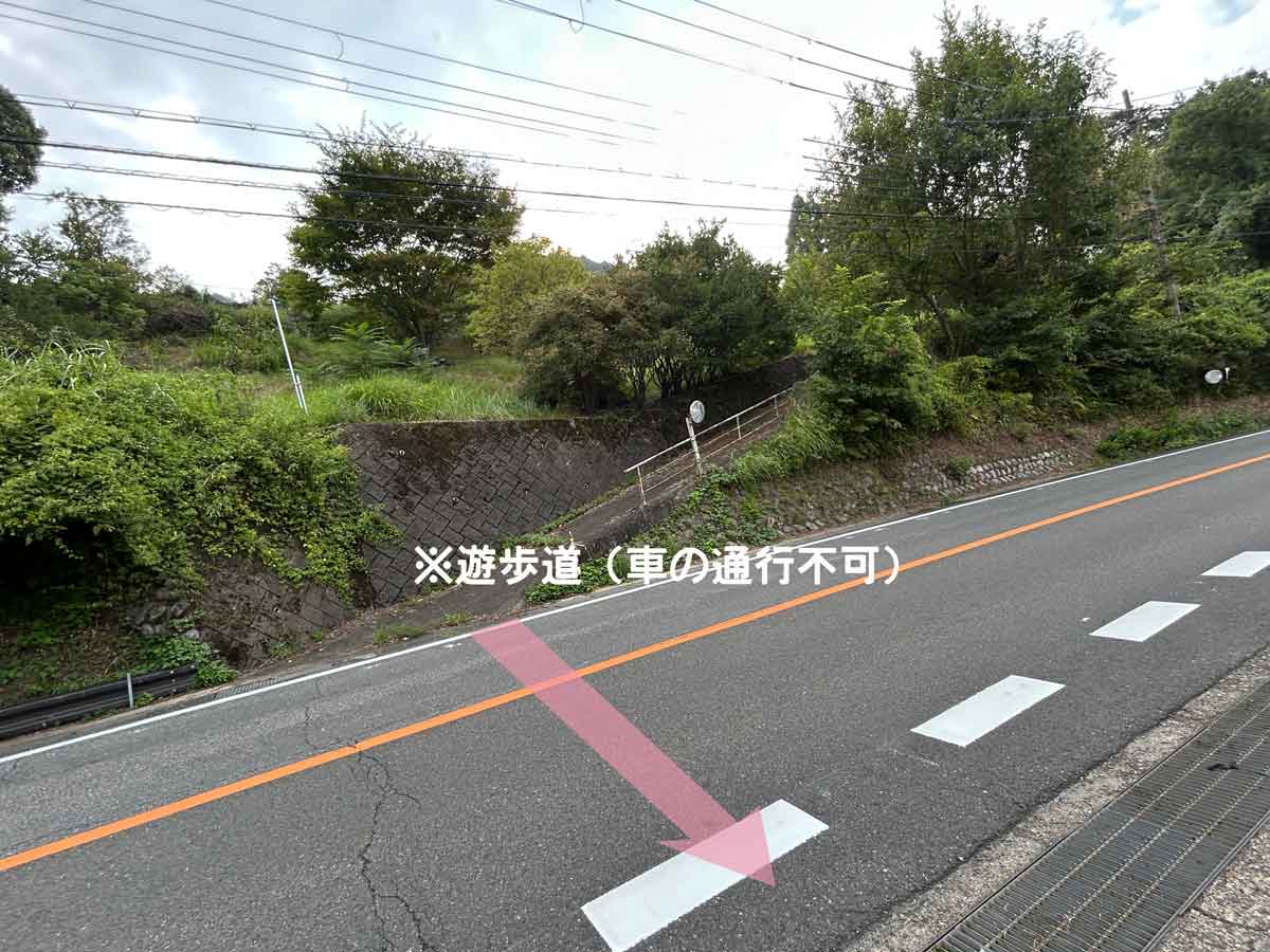 吉野川への通路・国道169号線を渡ります