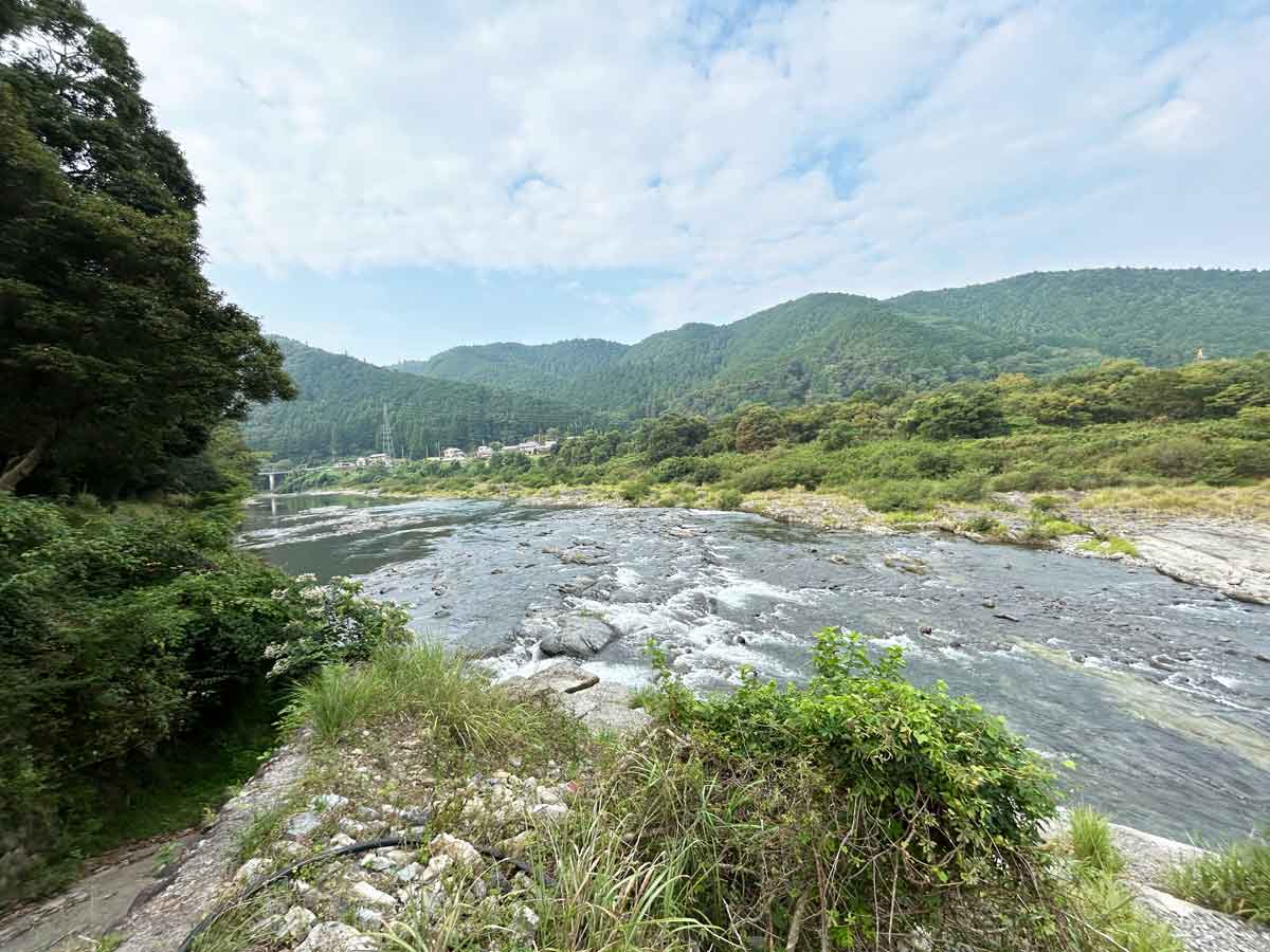 雨の余韻を残した川の流れ