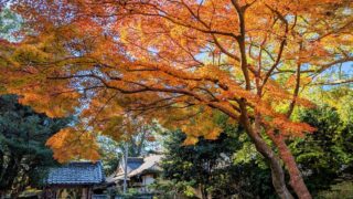 吉野山 秋の水分神社