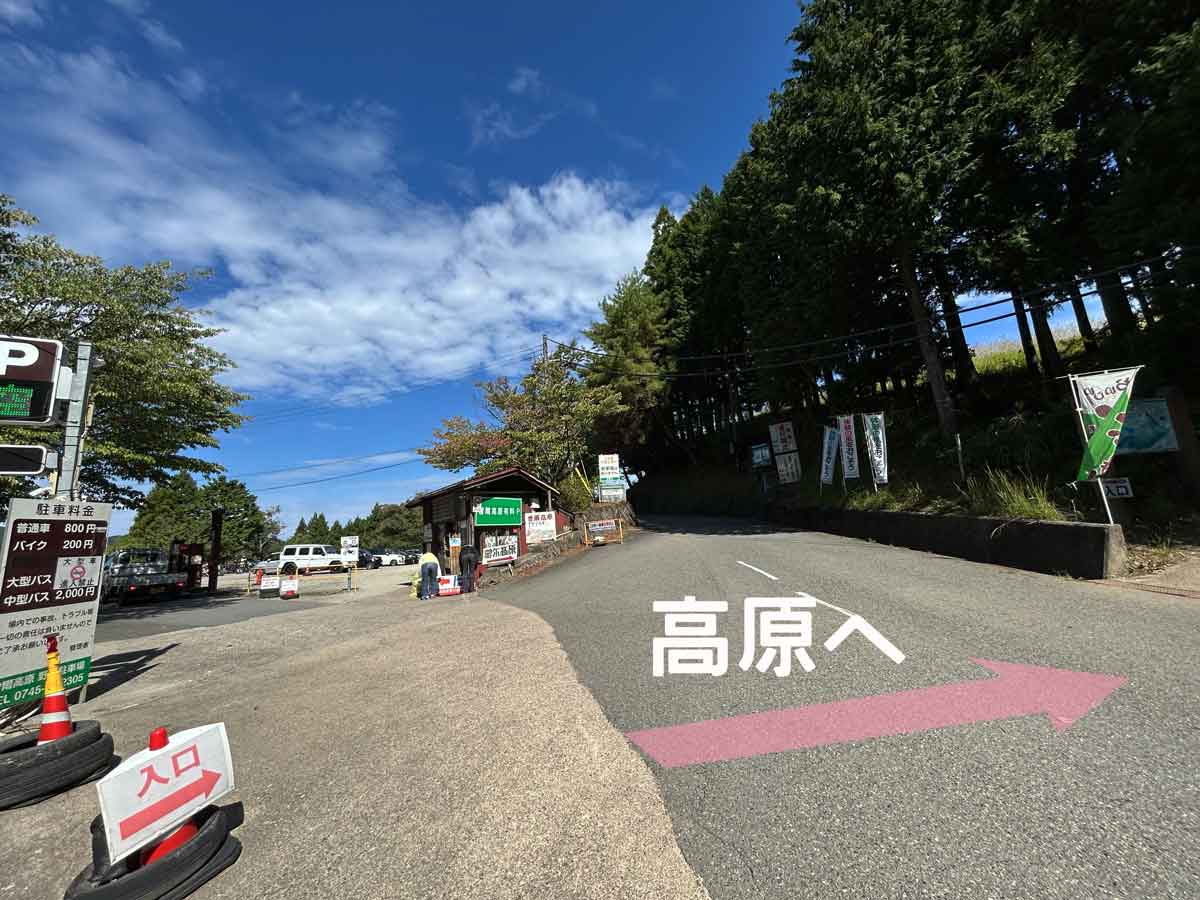 高原まで徒歩1分