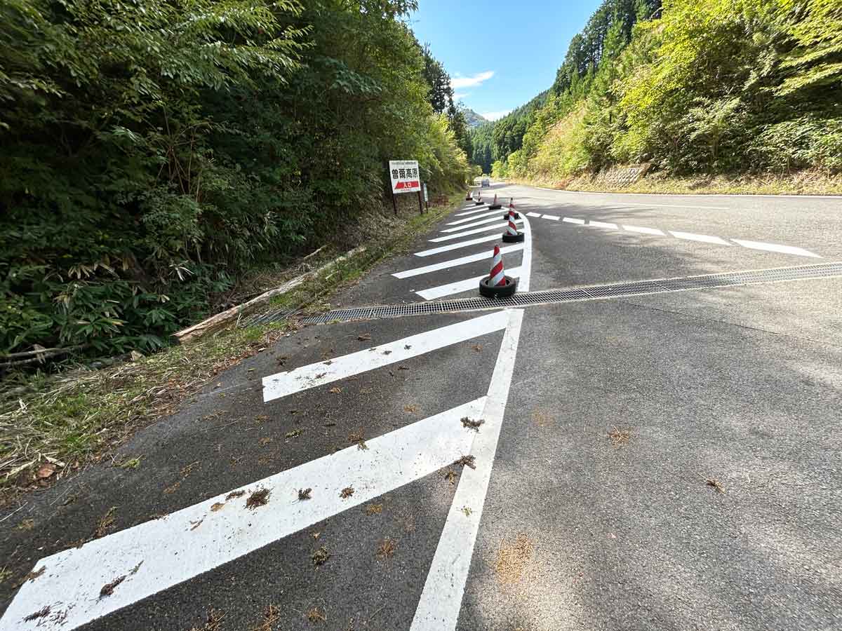 ▲ 2025年9月撮影。曽爾高原の路肩に新たに引かれた白線。導流帯のような形状で、観光シーズンの路駐防止を意識している可能性がある。