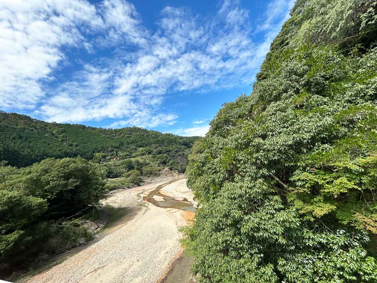 水量の少ない日の正蓮寺川。川底が露出し、静けさが際立つ
