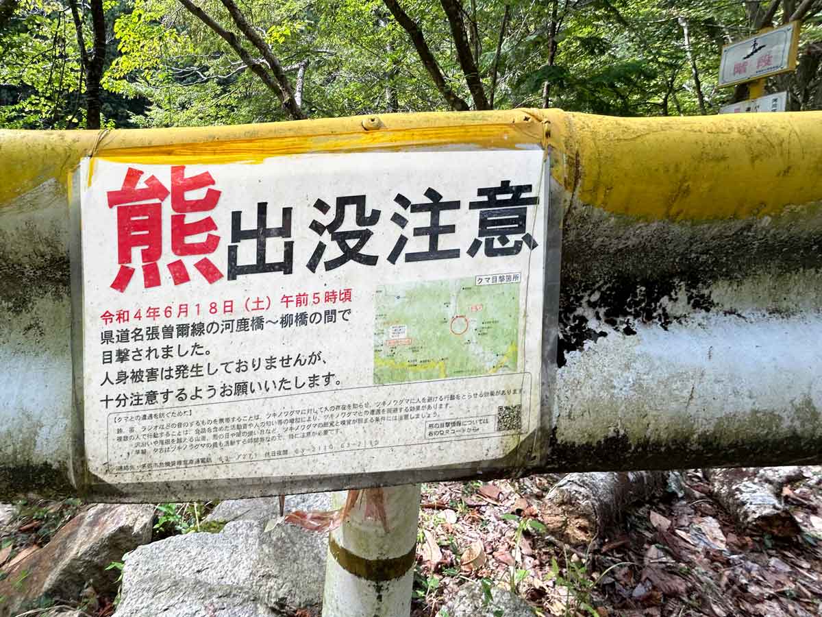 令和4年6月18日早朝に出没