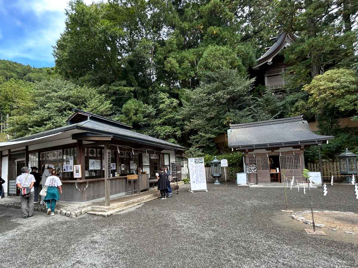 森の中に浮かぶように見える本殿